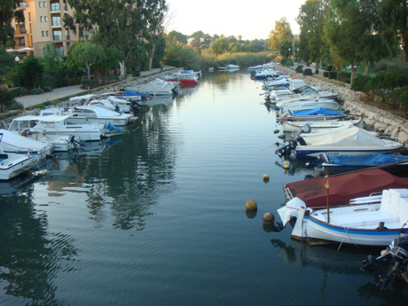 Small boats harbor ibiza photo